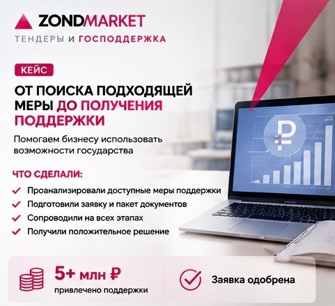 Господдержка — от поиска меры до получения денег